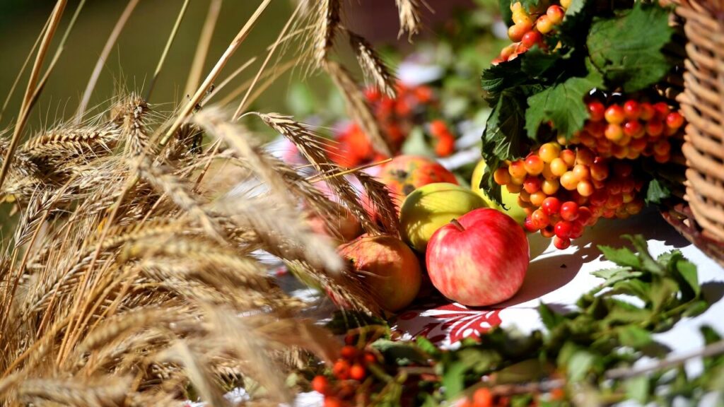 ПОГОДА. Каким будет август?