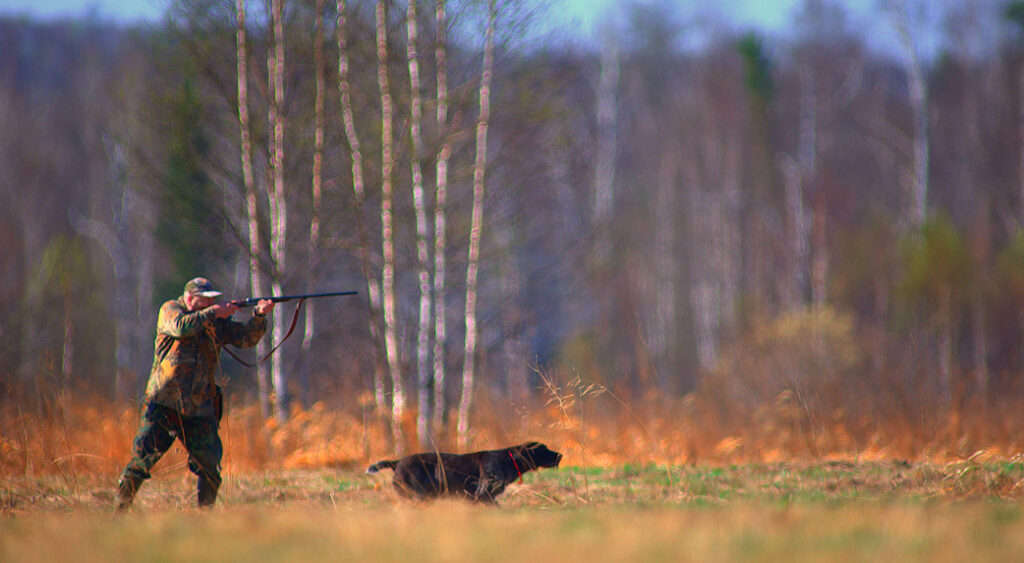 В Беларуси ноябрь объявлен месяцем охотничьего туризма
